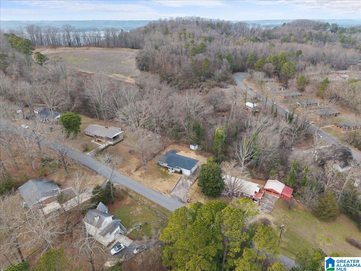 2012 Crawford Street Guntersville, AL 35976 - Photo 5 of 40