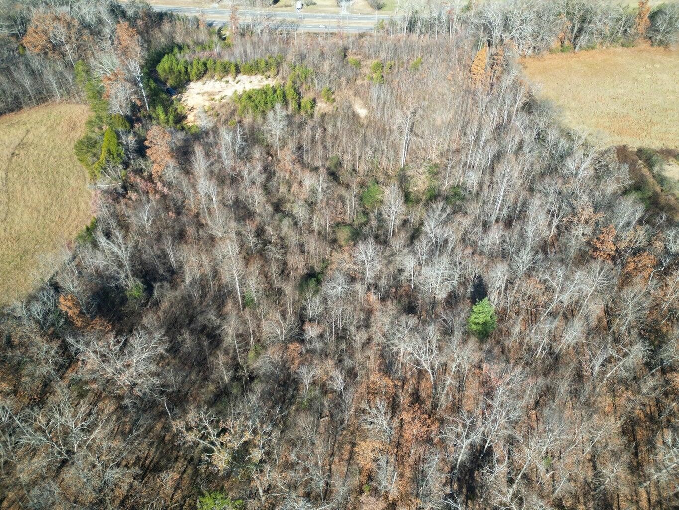 27532 Rhea County Highway Spring City, TN 37381 - Photo 15 of 17 Gallery Image 15