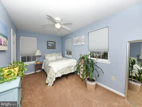 a bedroom with a bed potted plant and a window