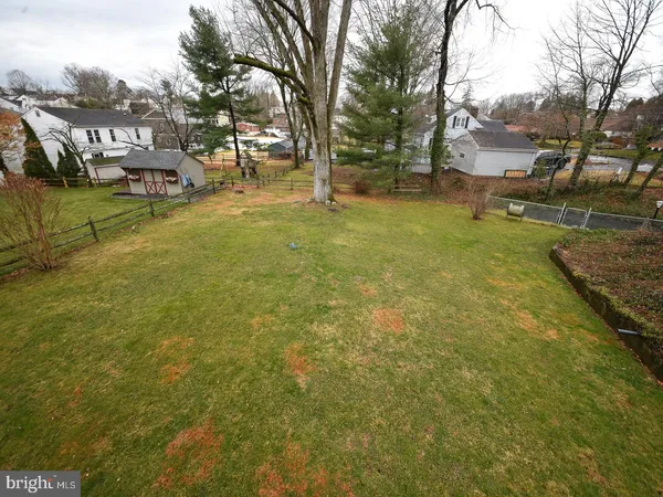 a view of a yard with a large trees