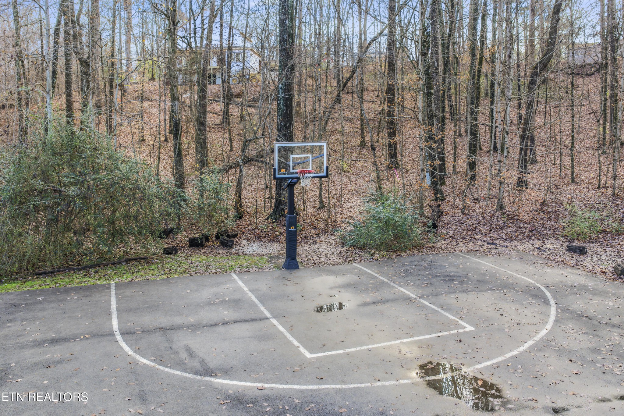 2815 Green Summers Road Knoxville, TN 37938 - Photo 47 of 50 a view of a basket ball ground