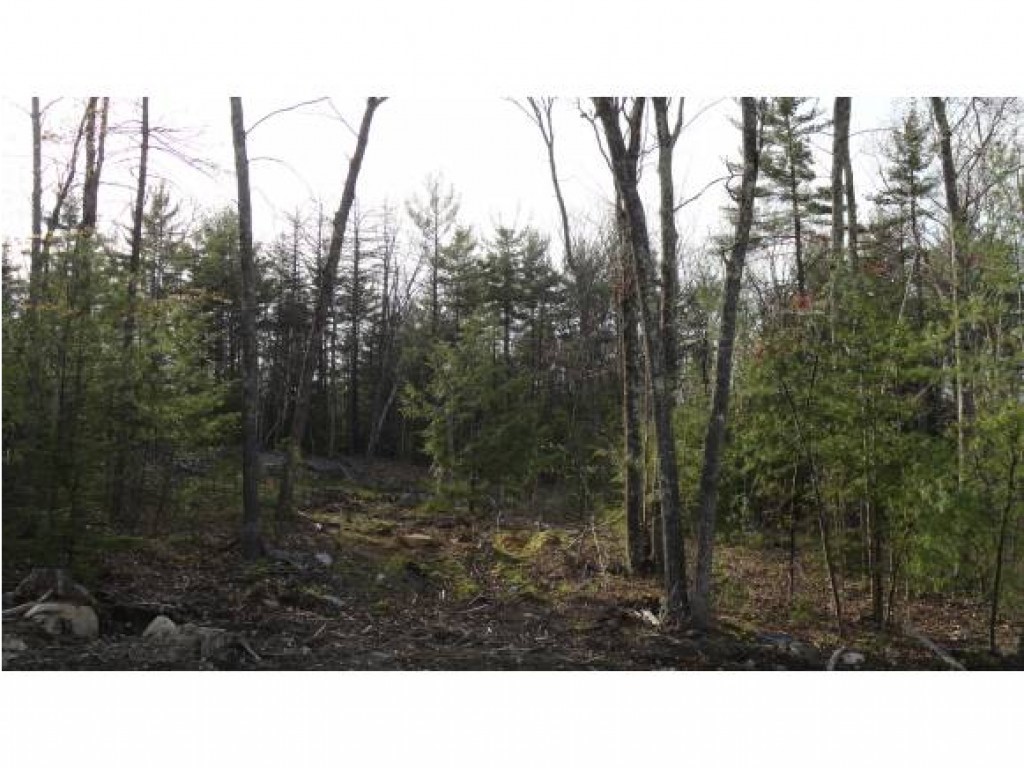 Lot 1 Lyndeborough Road Amherst, NH 03031 - Photo 1 of 1