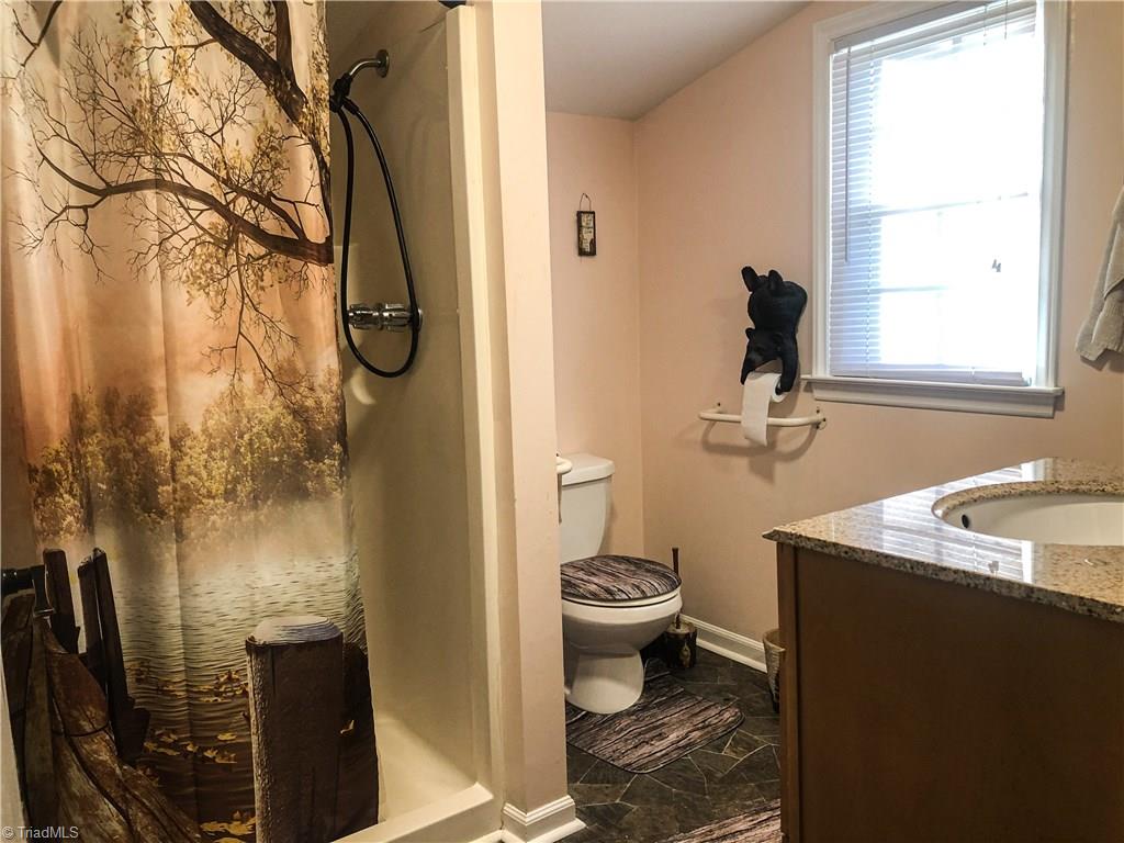 6540 Westfield Road Westfield, NC 27053 - Photo 12 of 29 Master bath