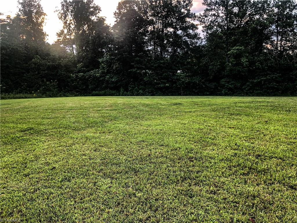 6540 Westfield Road Westfield, NC 27053 - Photo 25 of 29 Back yard