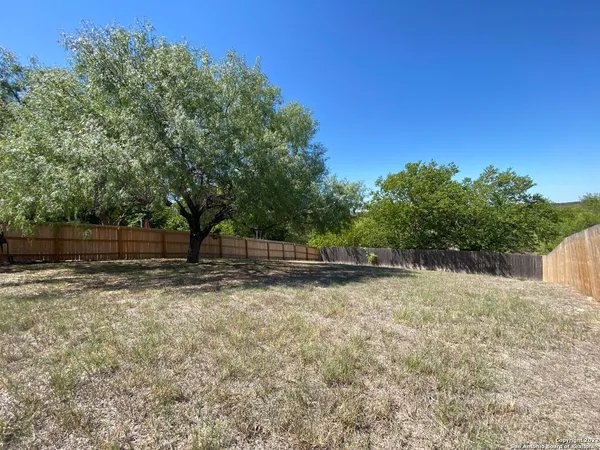 a view of backyard with tree