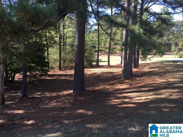 50 Ridge Circle Warrior, AL 35180 - Photo 20 of 22