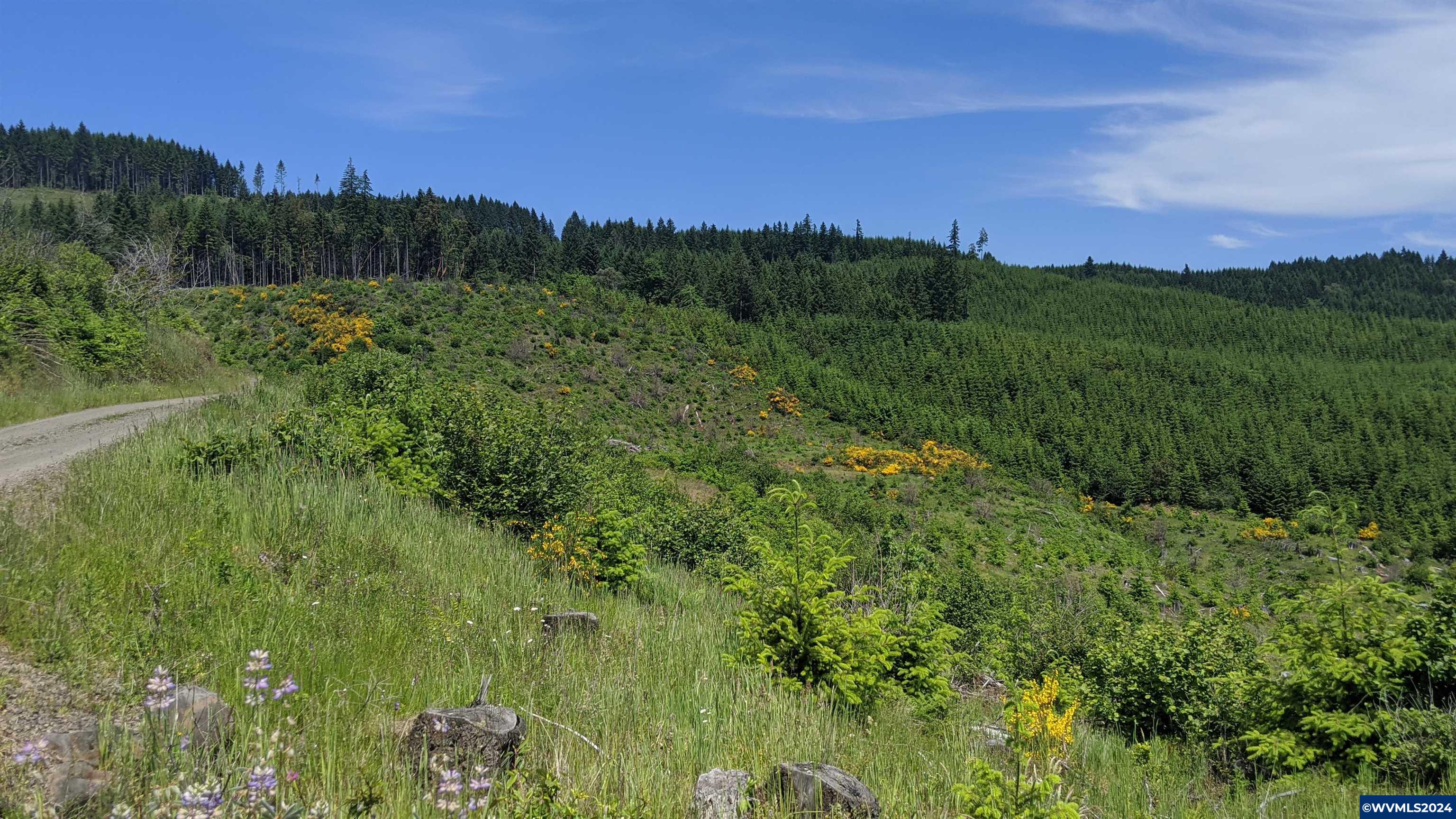 Northwest Timmerman Road Forest Grove, OR 97116 - Photo 6 of 12