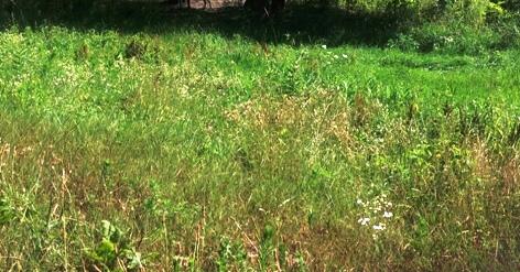 1334 North Brummitt Road Chesterton, IN 46304 - Photo 2 of 2 472x247