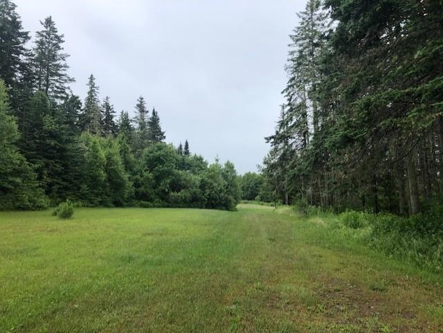 1172 Cobb Road Walden, VT 05873 - Photo 2 of 19