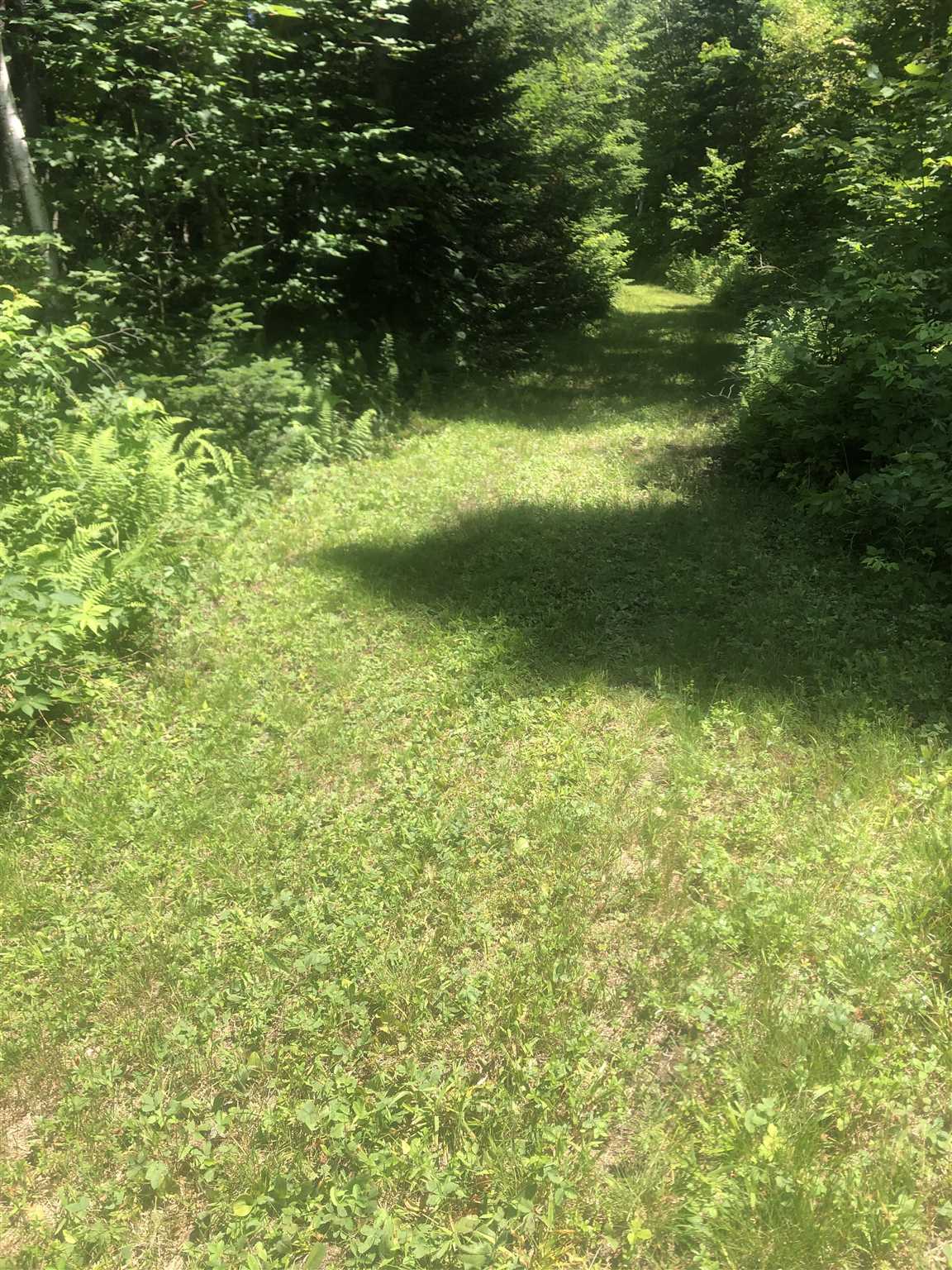 1172 Cobb Road Walden, VT 05873 - Photo 11 of 19