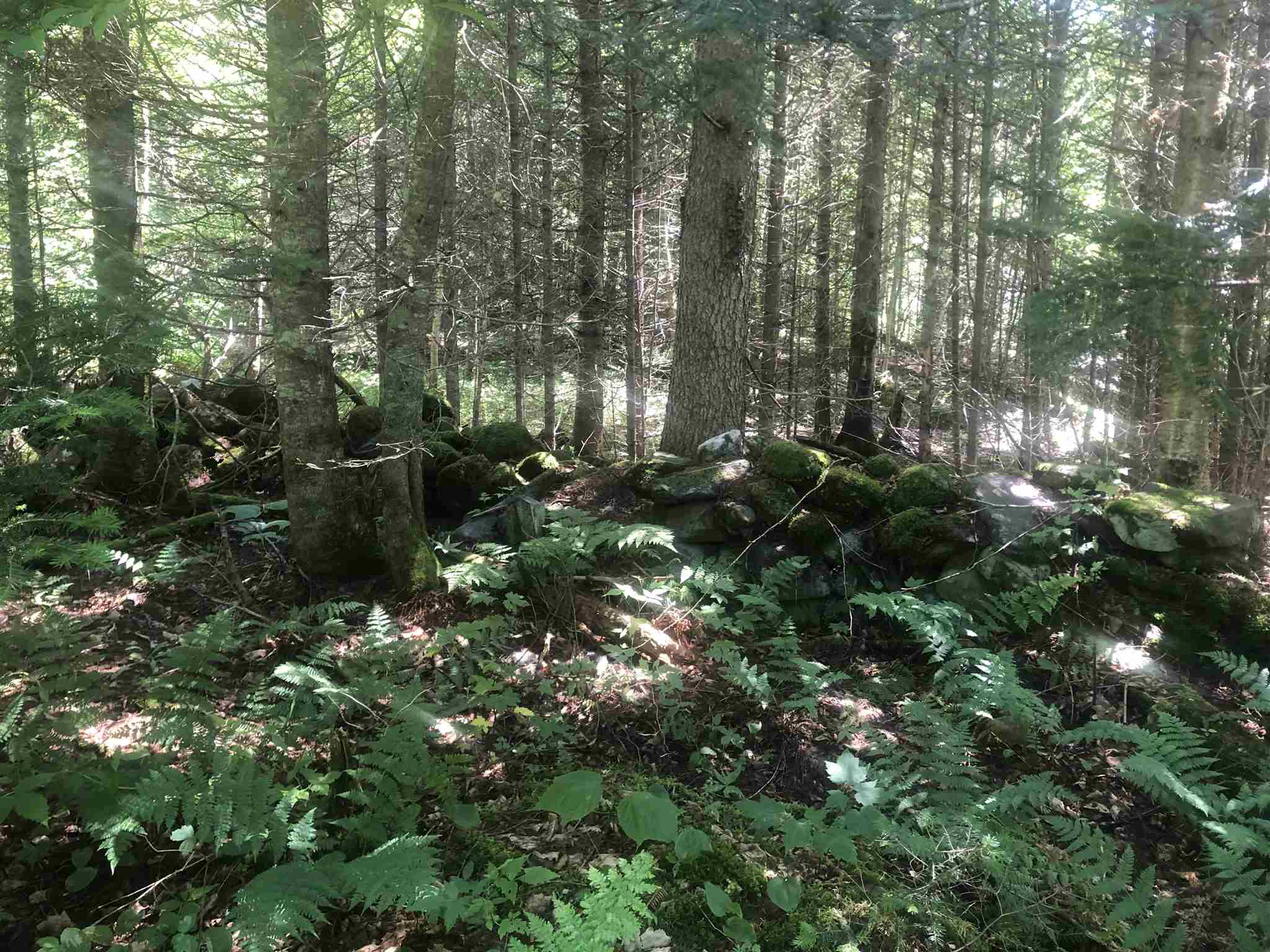 1172 Cobb Road Walden, VT 05873 - Photo 12 of 19