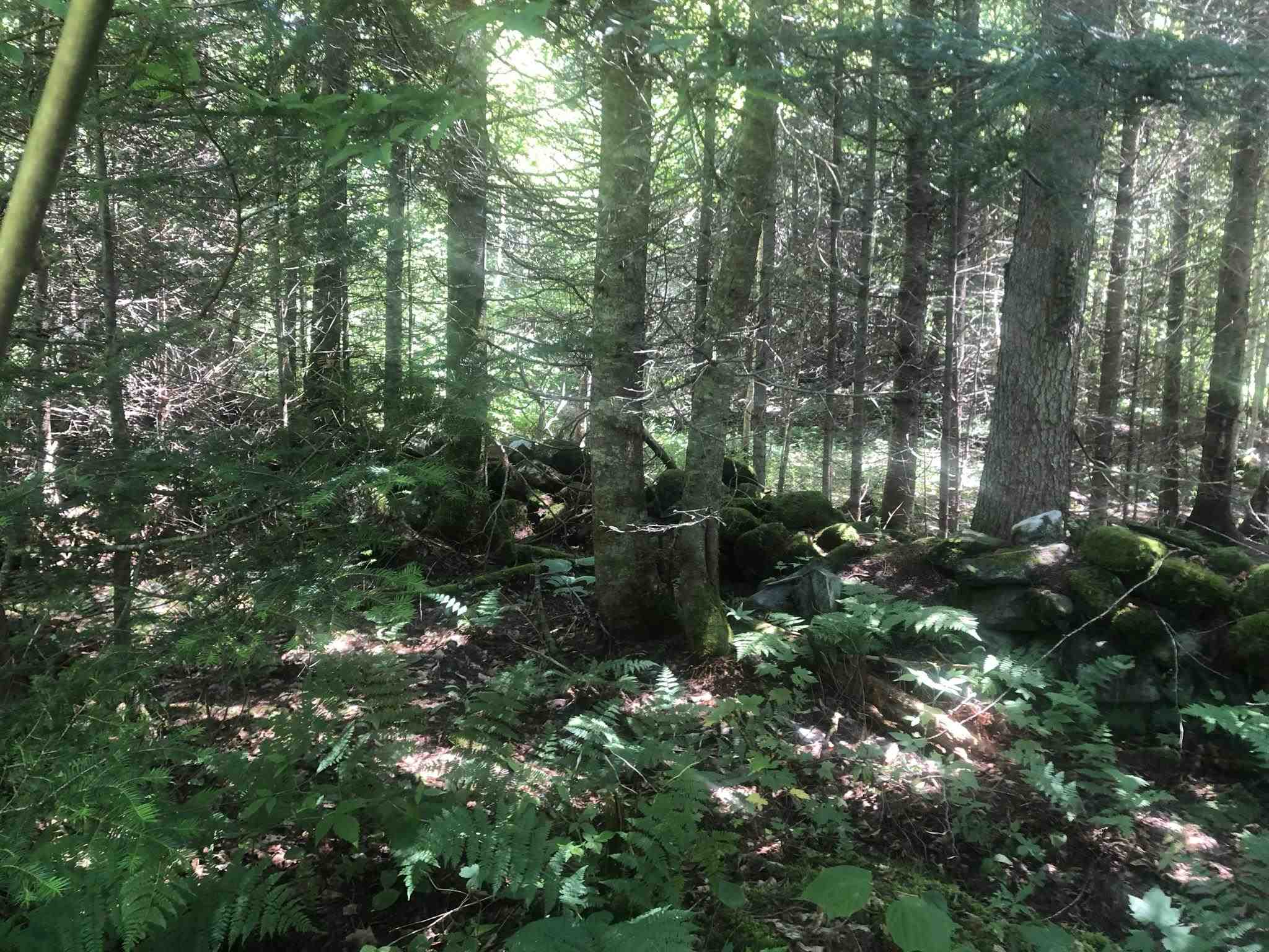 1172 Cobb Road Walden, VT 05873 - Photo 13 of 19