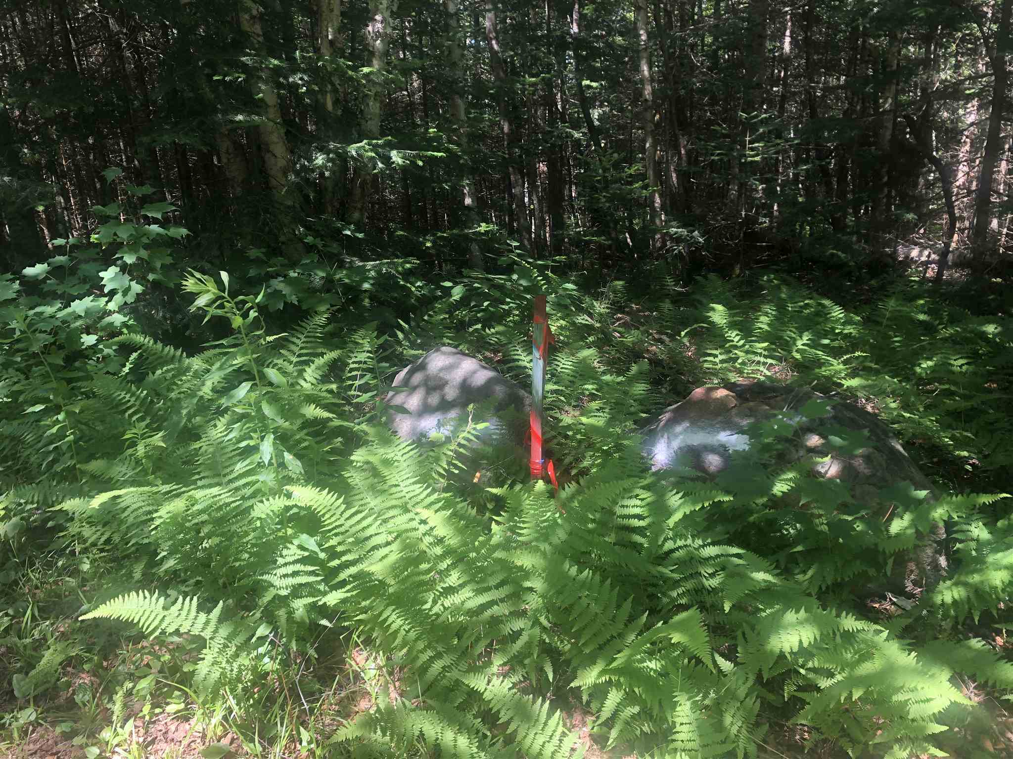 1172 Cobb Road Walden, VT 05873 - Photo 14 of 19