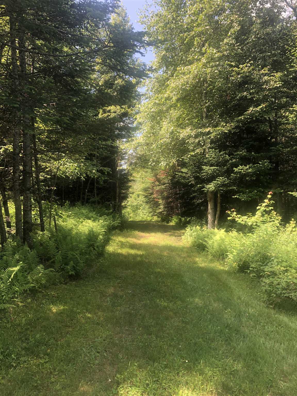 1172 Cobb Road Walden, VT 05873 - Photo 15 of 19