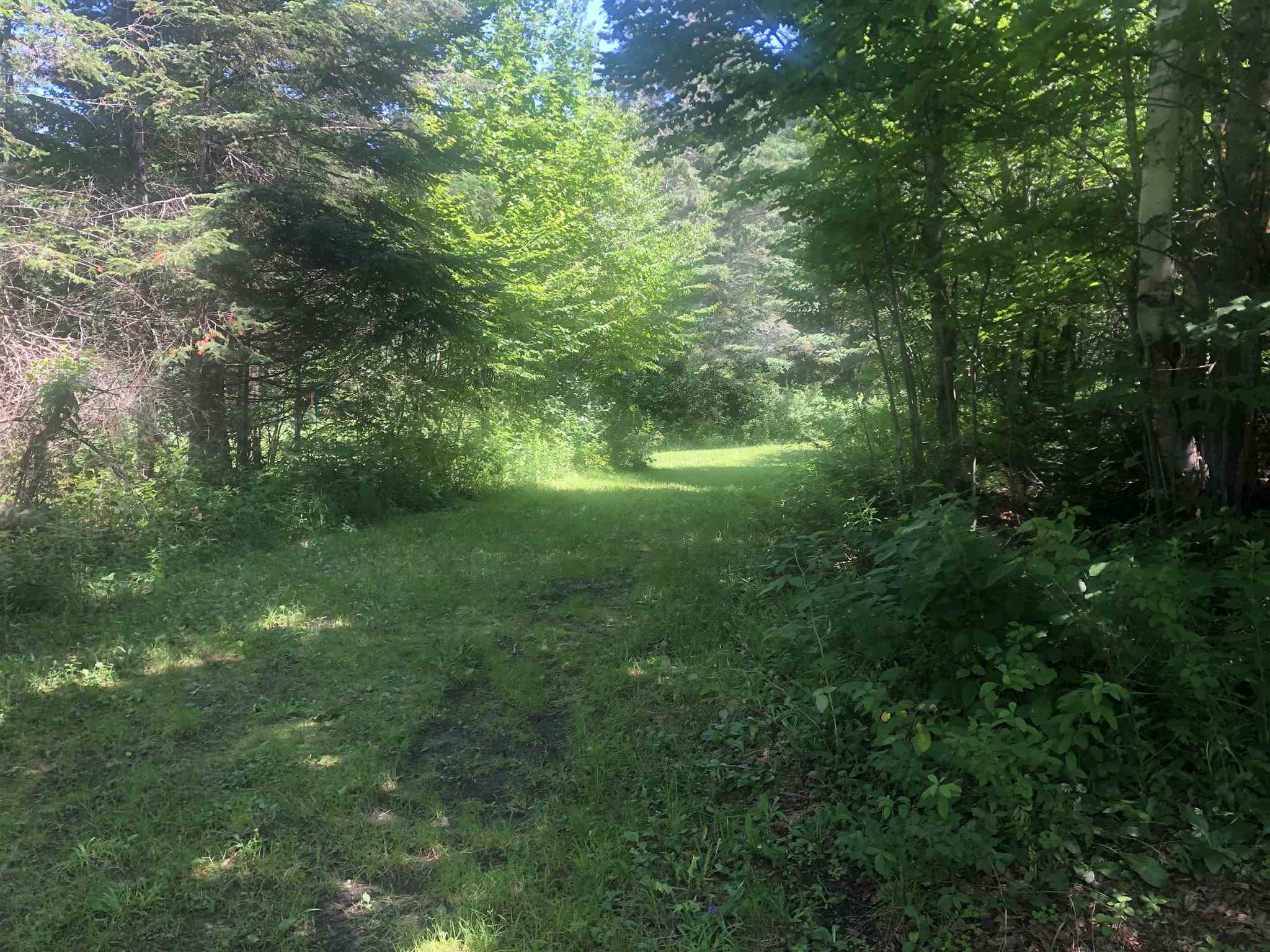 1172 Cobb Road Walden, VT 05873 - Photo 18 of 19