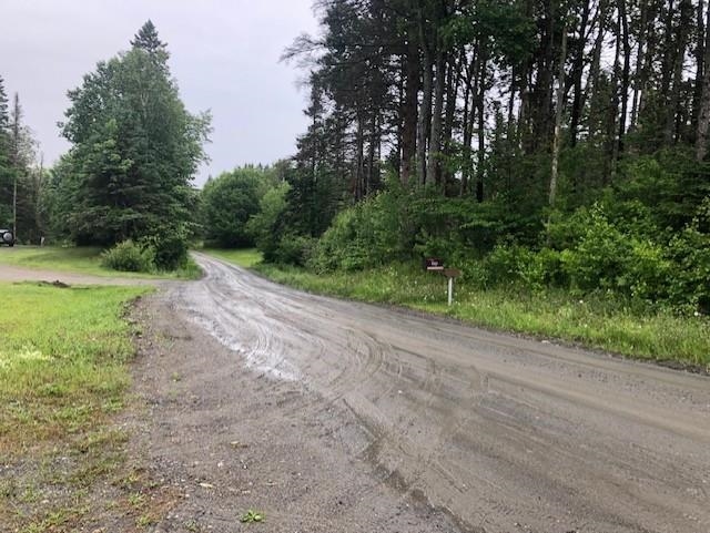 1172 Cobb Road Walden, VT 05873 - Photo 3 of 19