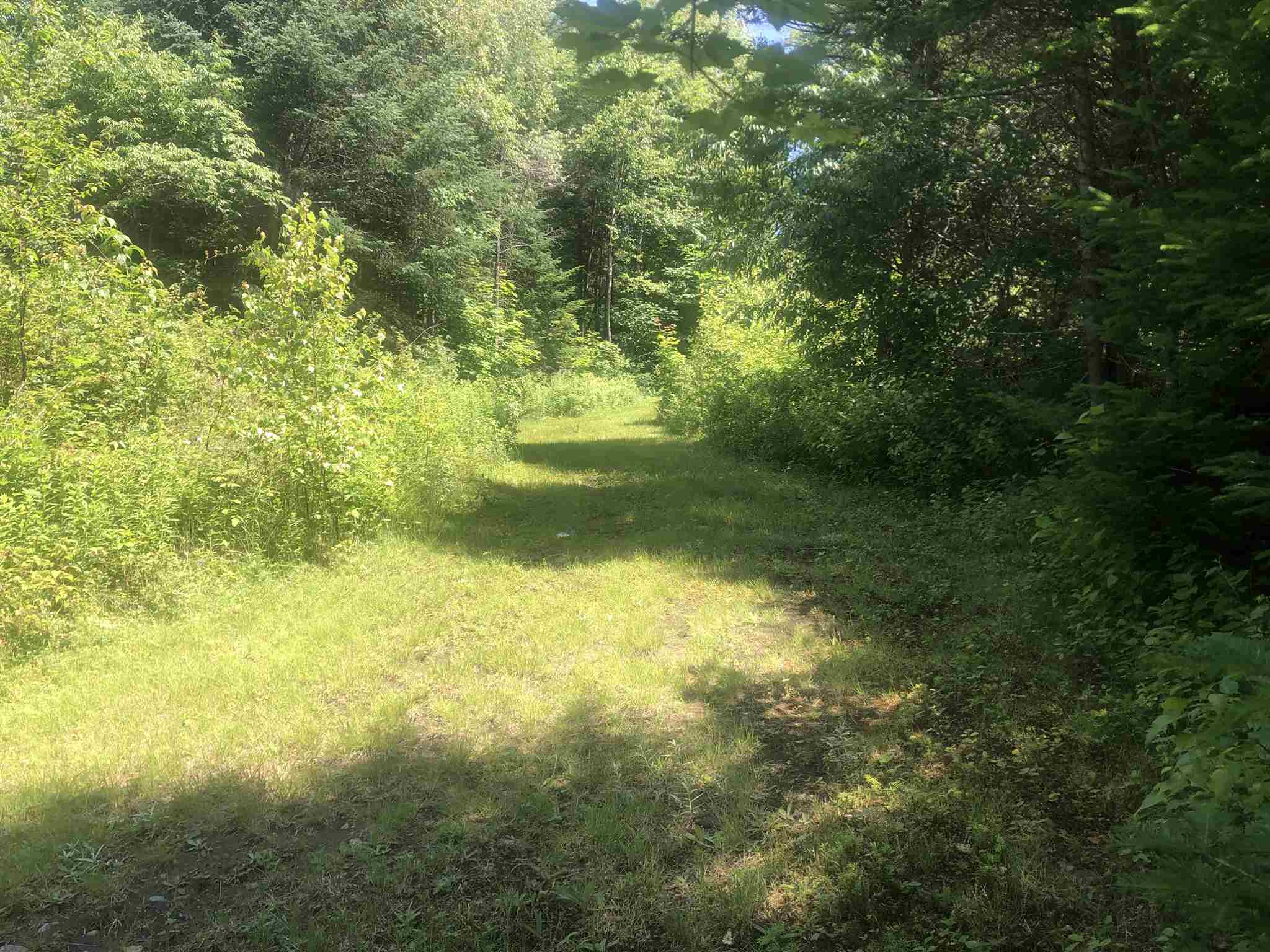 1172 Cobb Road Walden, VT 05873 - Photo 10 of 19