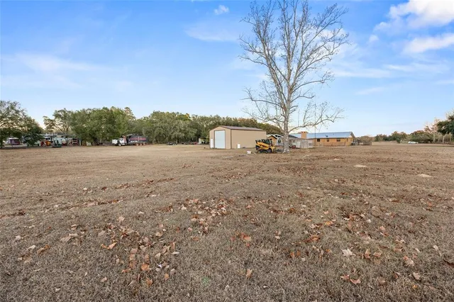 a view of a field with palm trees