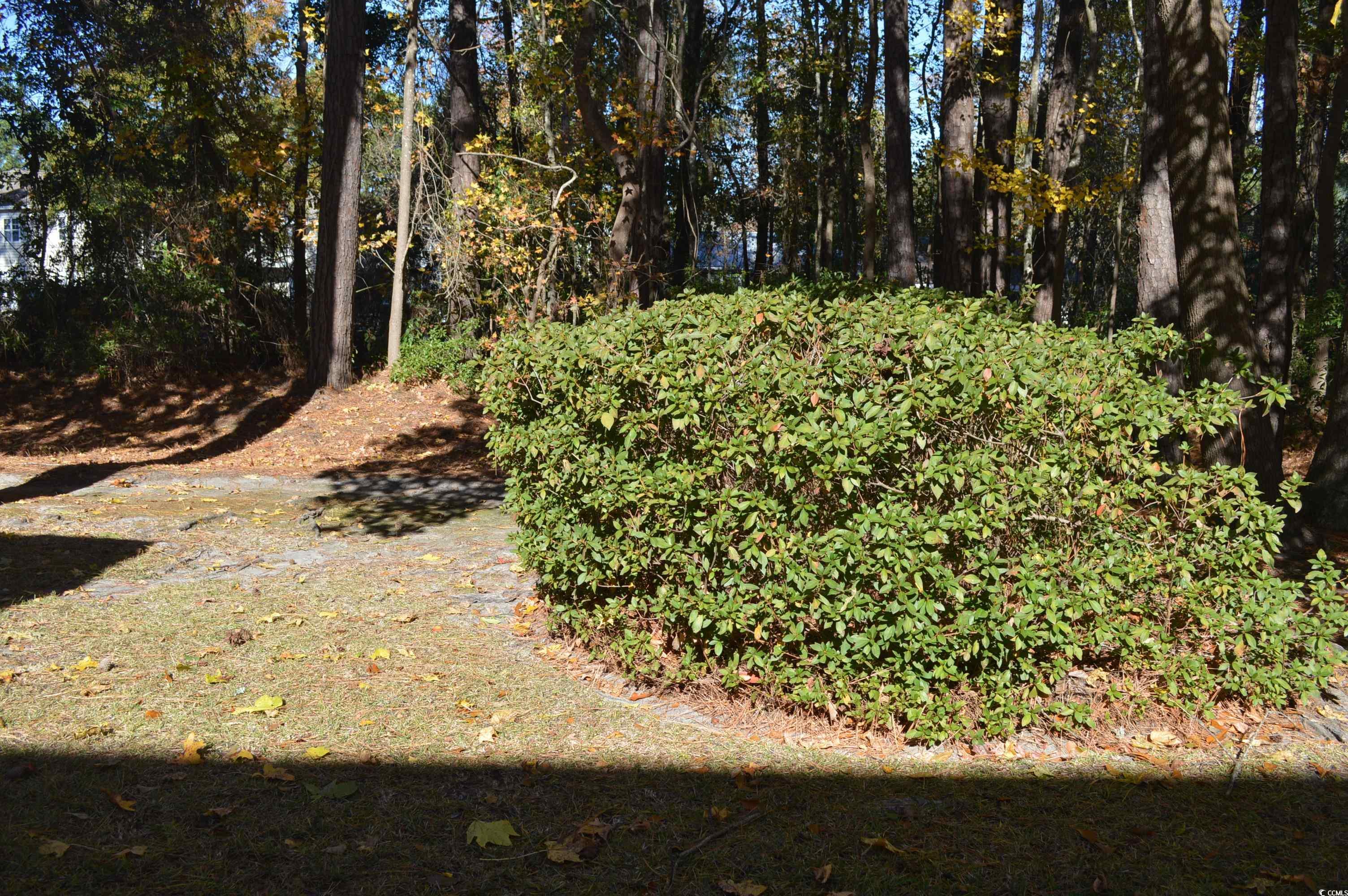 2304 Blackbird Court Murrells Inlet, SC 29576 - Photo 29 of 34 Gallery Image 29