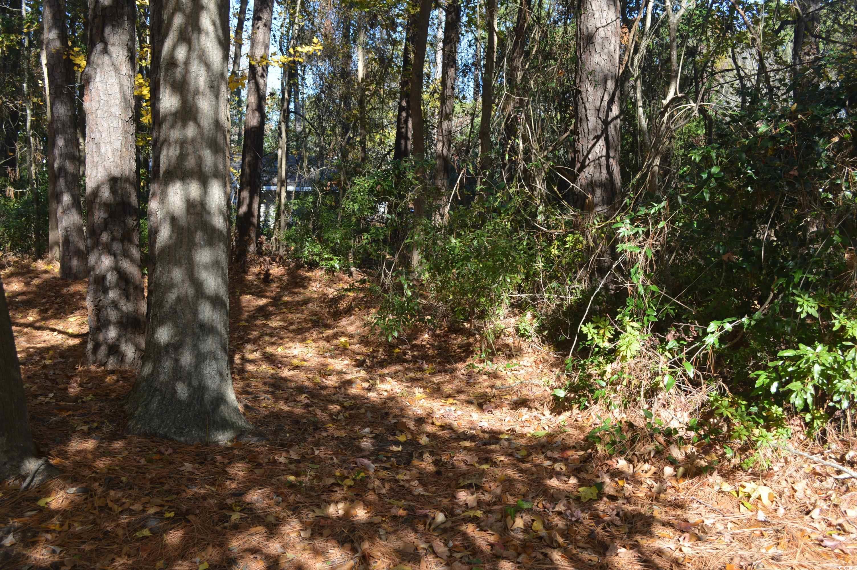 2304 Blackbird Court Murrells Inlet, SC 29576 - Photo 34 of 34 Gallery Image 34