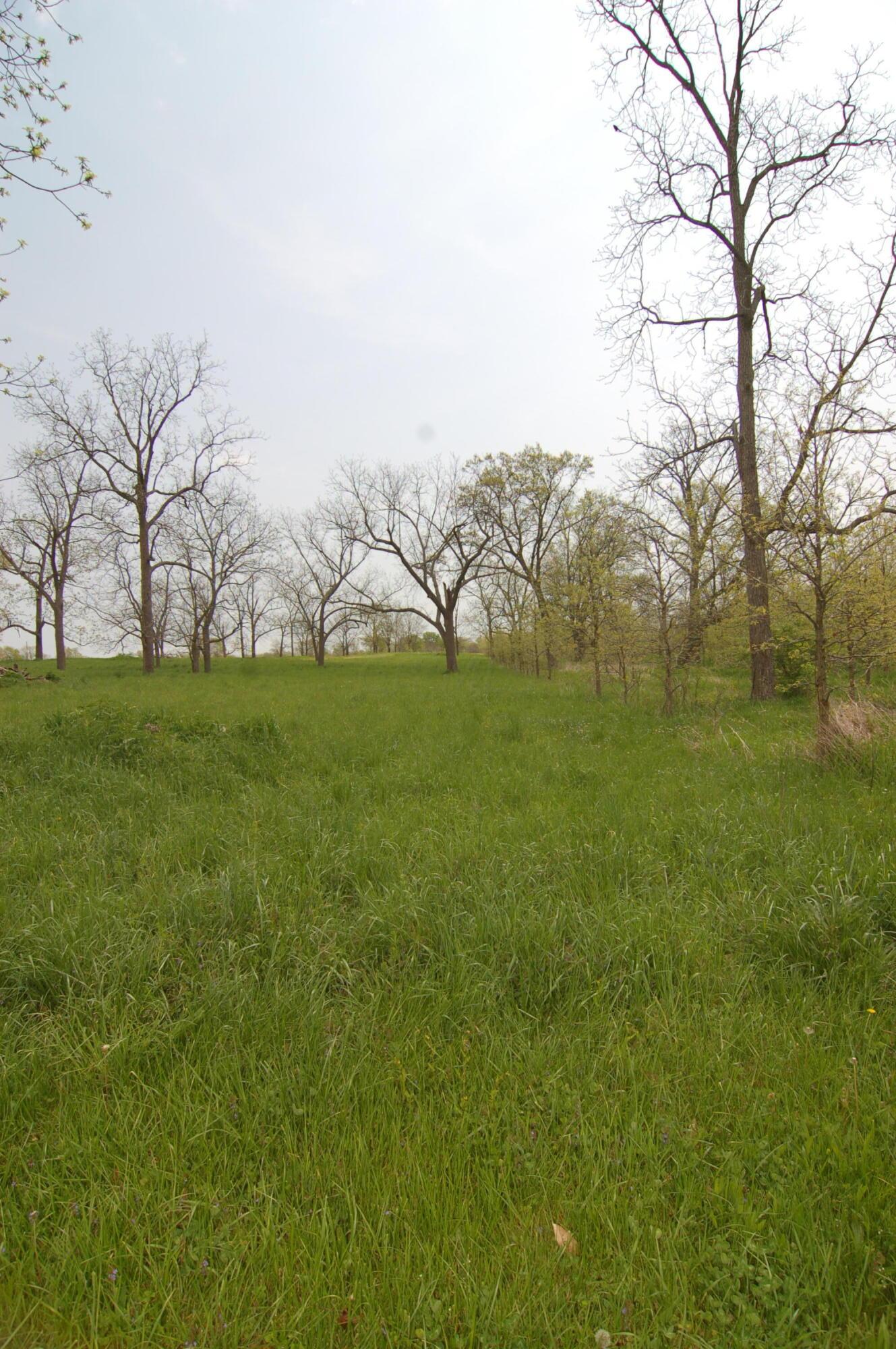 0 Rosedale-plain Rosedale-Plain City Road, Unit TRACT 1 Irwin, OH 43029 - Photo 6 of 28 View of the Rear Lot Line