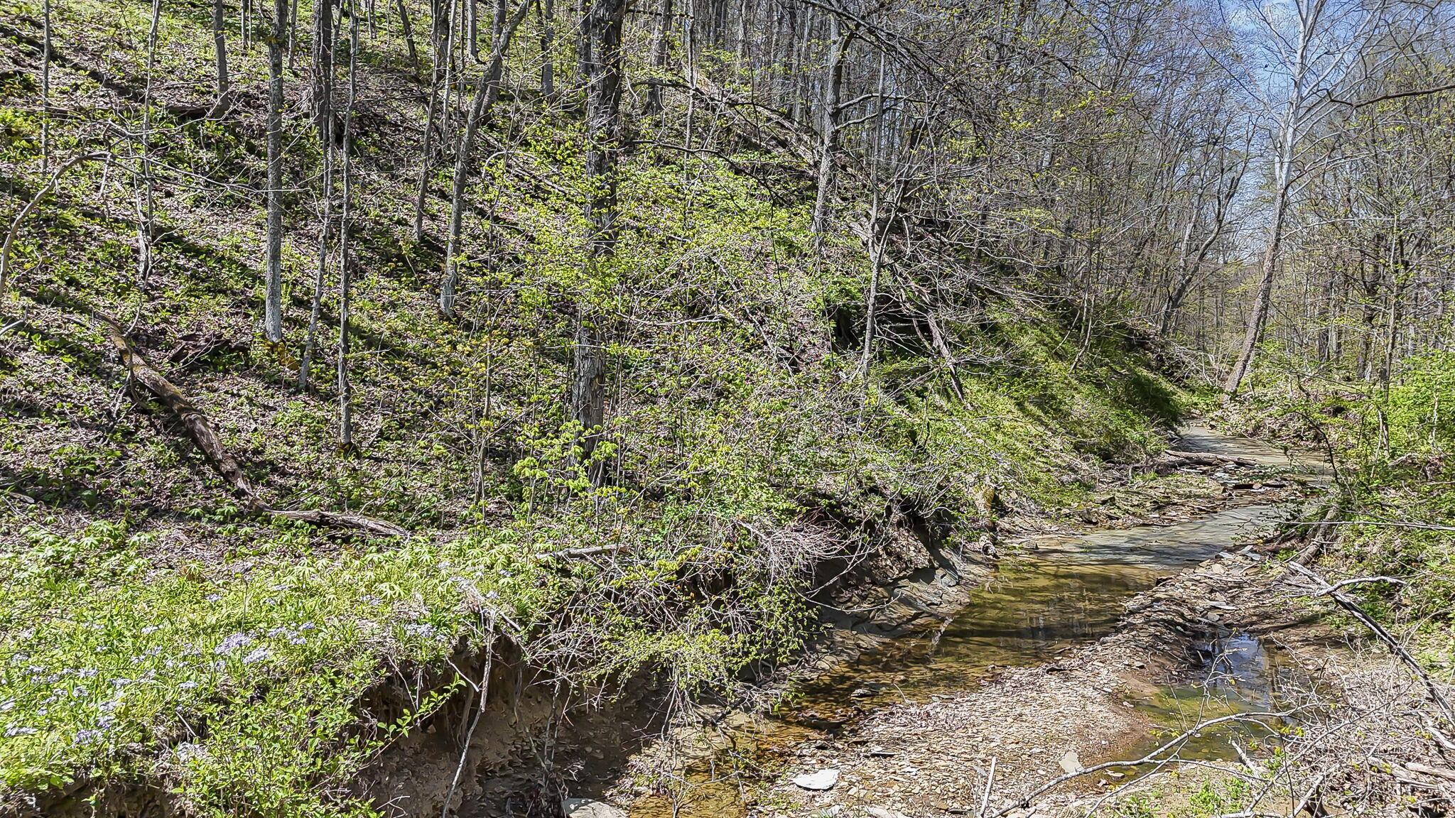 30083 Goosecreek Road McArthur, OH 45651 - Photo 16 of 29 16-web-or-mls-DJI_20260422013846_0061_D