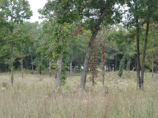 3981 Durbin Church Road Fountain Inn, SC 29644 - Photo 12 of 15