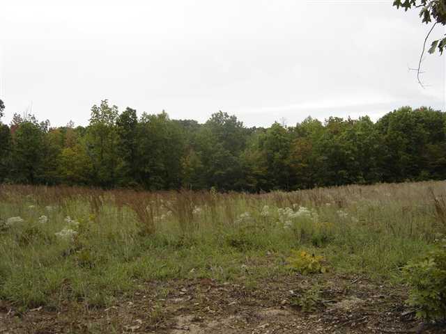 3981 Durbin Church Road Fountain Inn, SC 29644 - Photo 13 of 15