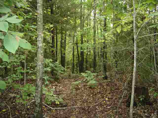 3981 Durbin Church Road Fountain Inn, SC 29644 - Photo 15 of 15