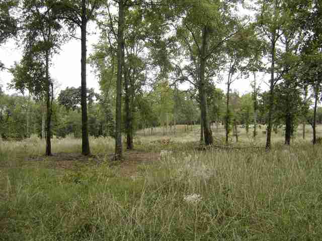 3981 Durbin Church Road Fountain Inn, SC 29644 - Photo 3 of 15