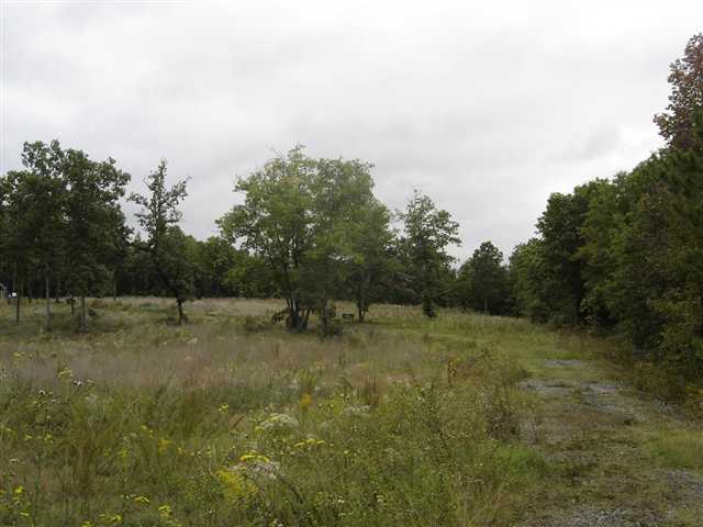 3981 Durbin Church Road Fountain Inn, SC 29644 - Photo 7 of 15