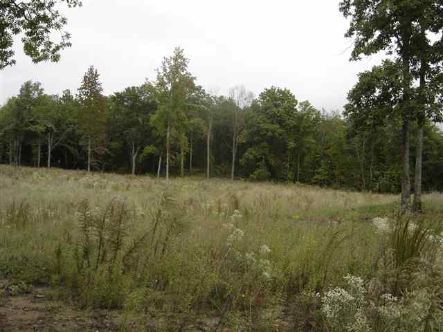3981 Durbin Church Road Fountain Inn, SC 29644 - Photo 8 of 15