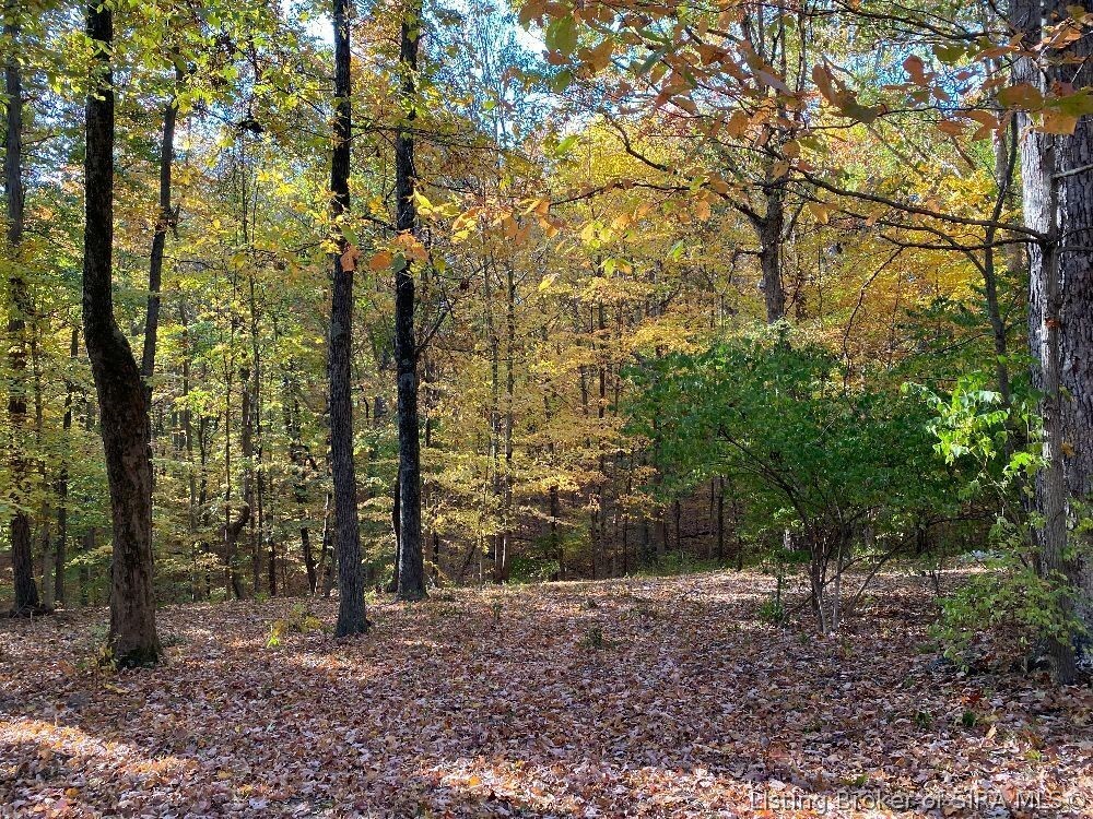 8995 Atkins Road Floyds Knobs, IN 47119 - Photo 26 of 51 Gallery Image 26