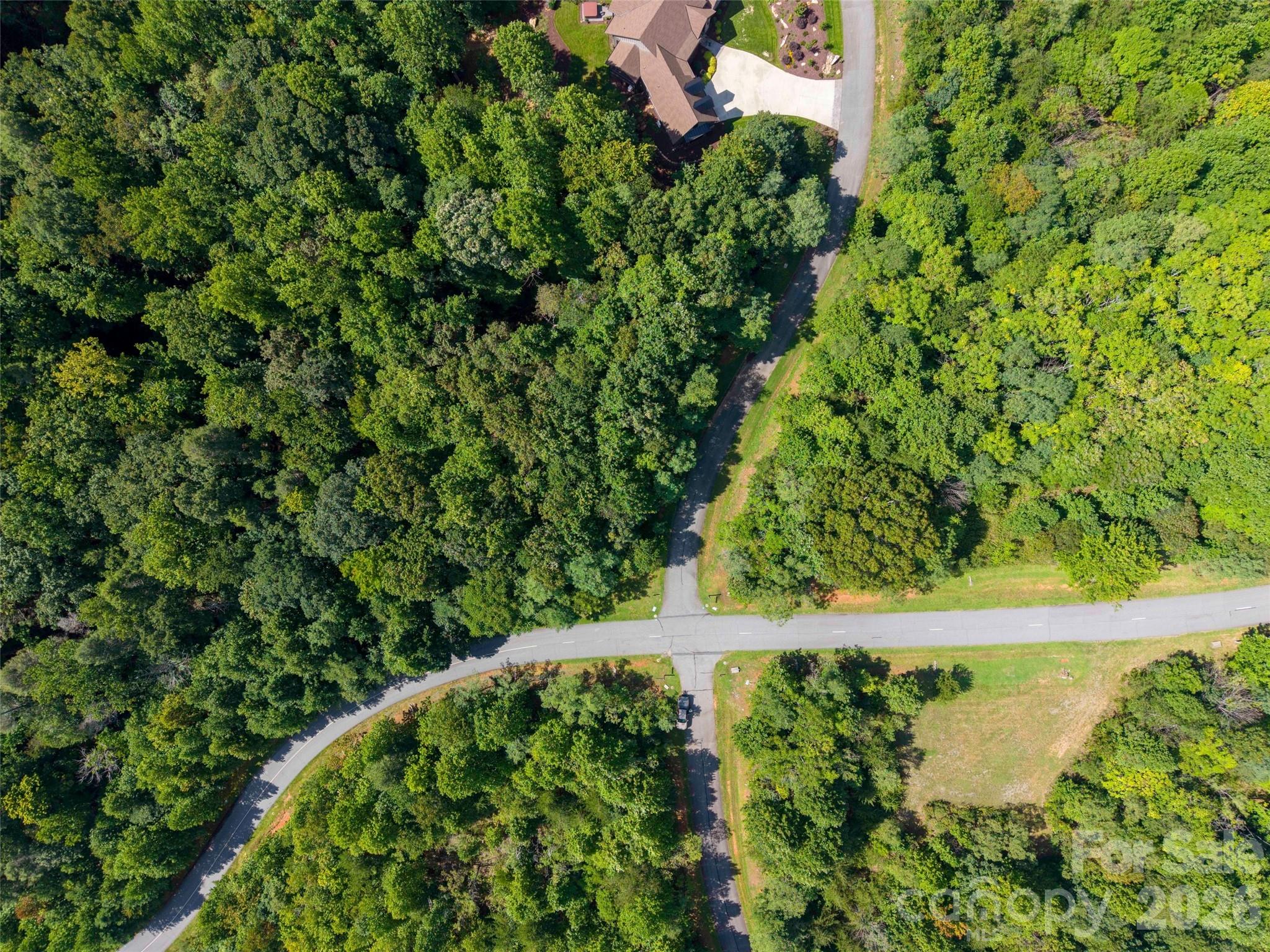 0 Deep Gap Farm Road East, Unit 2061 Mill Spring, NC 28756 - Photo 7 of 10 Gallery Image 7