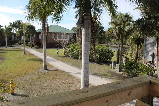 a view of a backyard