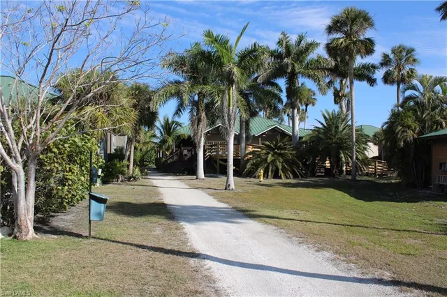 a view of a yard with palm trees
