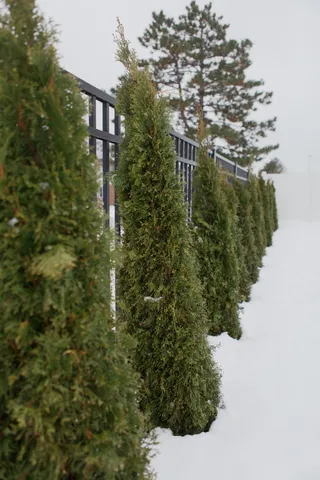 $379,000 | 210 Market Place, Benton Harbor, MI 49022