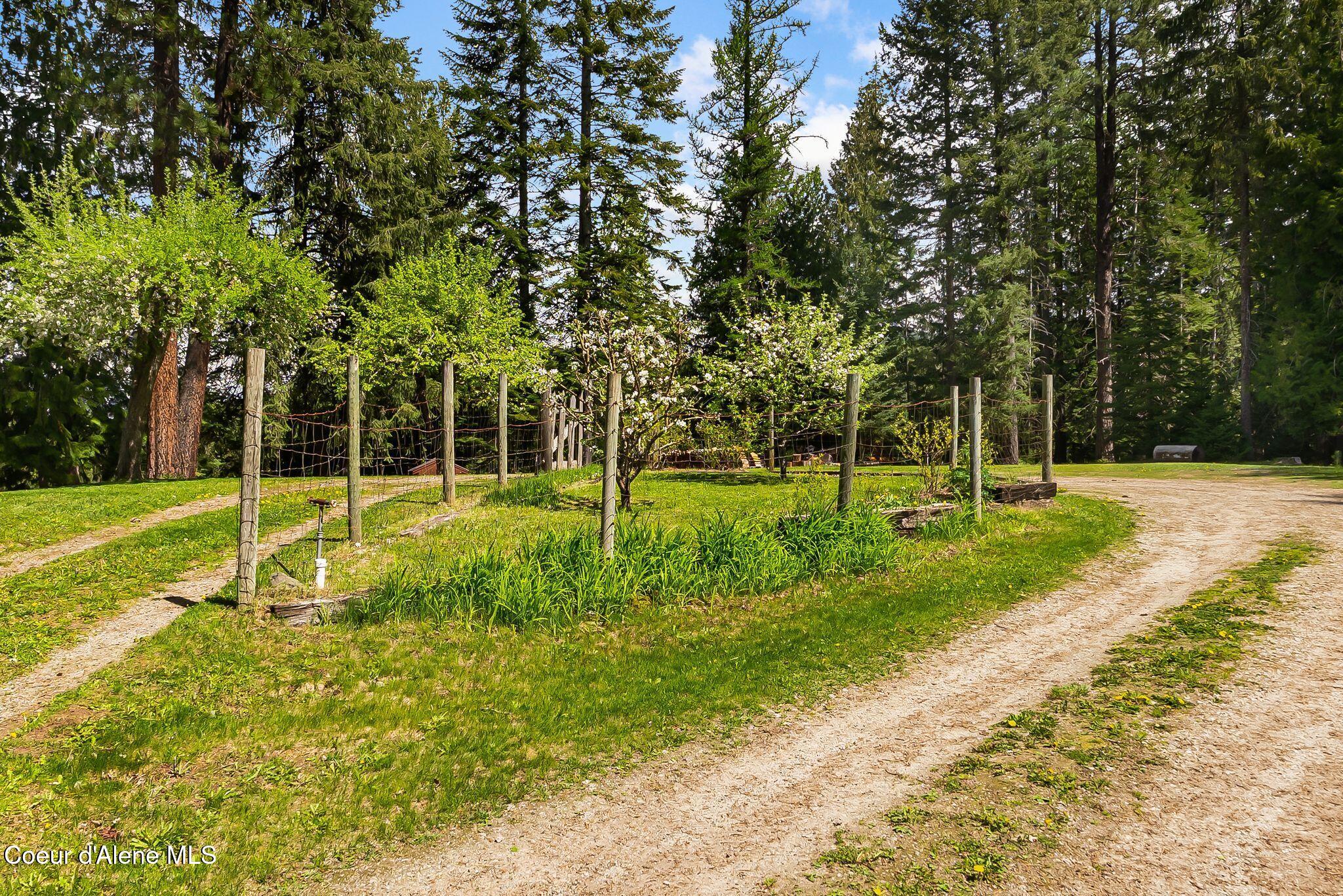 255 Red Alder Road Careywood, ID 83809 - Photo 55 of 67 54_DSC00726