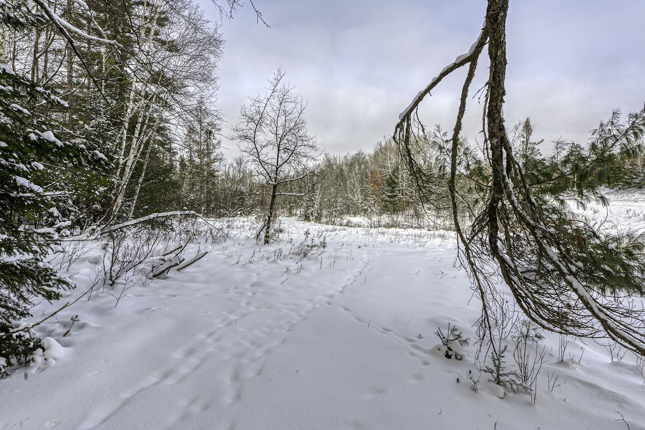 Clearview Court Hazelhurst, WI 54531 - Photo 26 of 61
