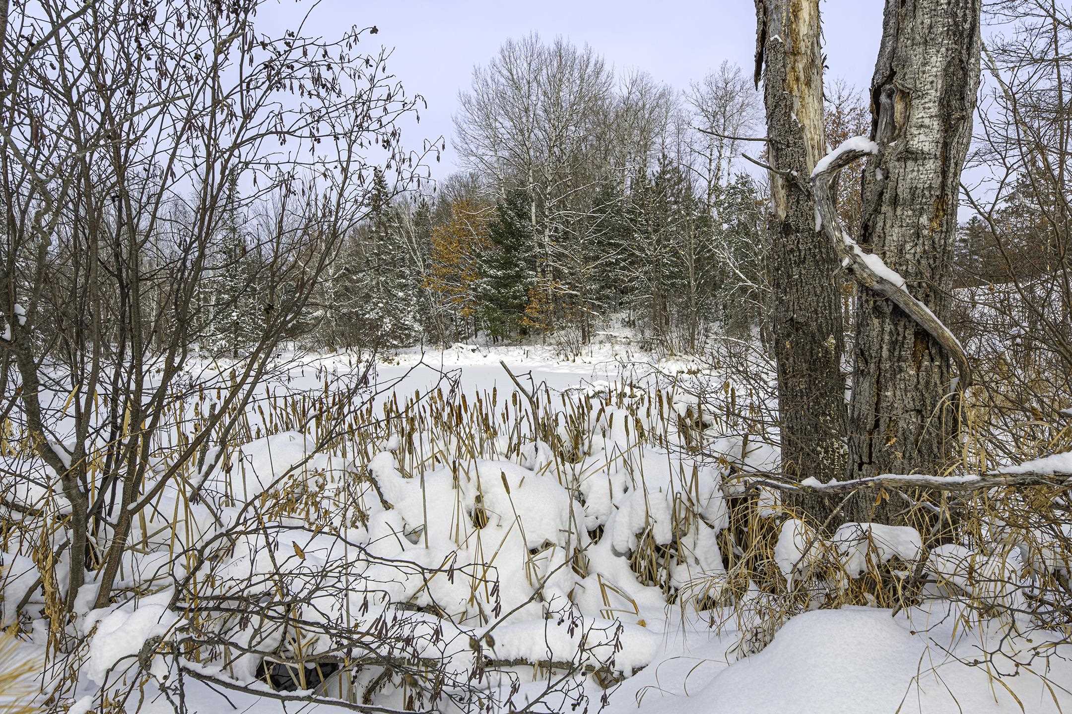 Clearview Court Hazelhurst, WI 54531 - Photo 28 of 61