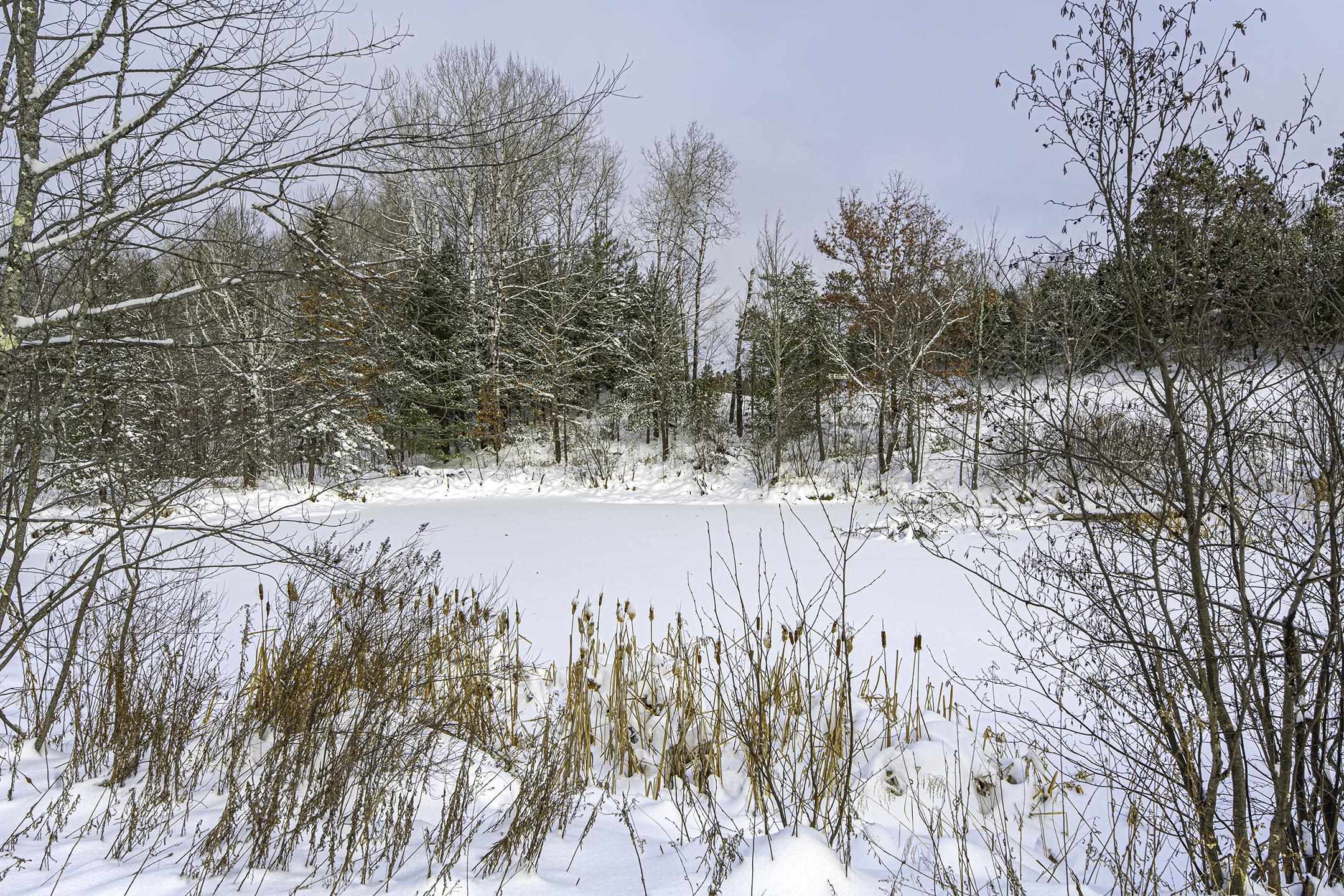 Clearview Court Hazelhurst, WI 54531 - Photo 29 of 61