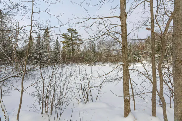 $249,900 | Clearview Court, Hazelhurst, WI 54531