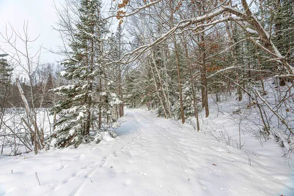 $249,900 | Clearview Court, Hazelhurst, WI 54531