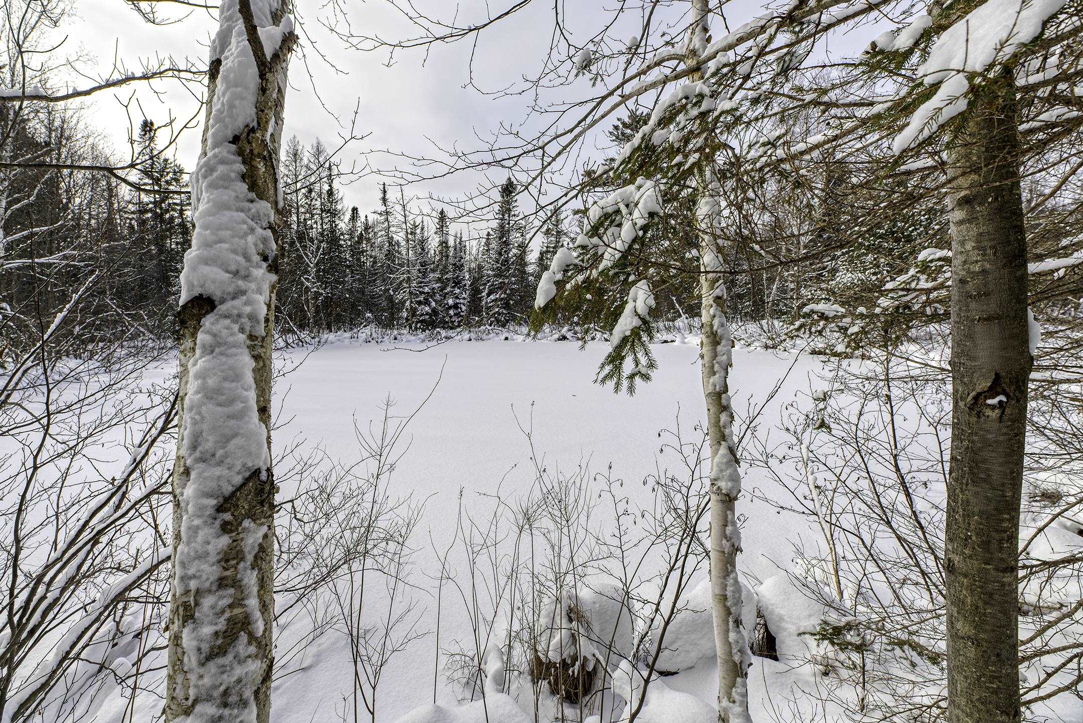 Clearview Court Hazelhurst, WI 54531 - Photo 33 of 61