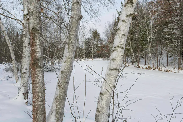 $249,900 | Clearview Court, Hazelhurst, WI 54531