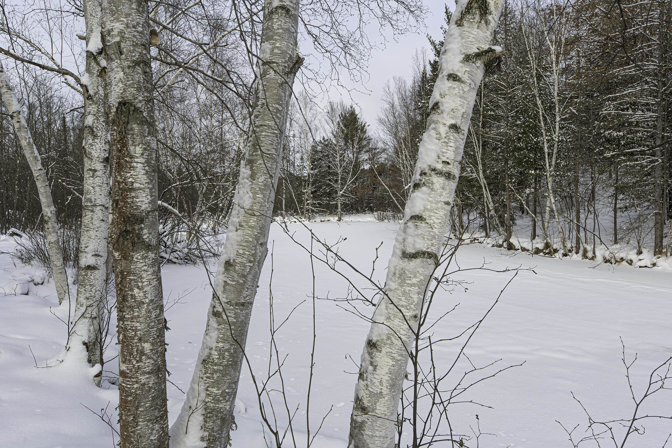 Clearview Court Hazelhurst, WI 54531 - Photo 34 of 61