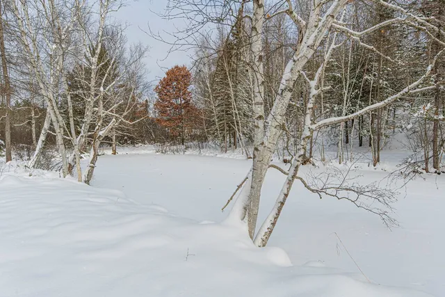 $249,900 | Clearview Court, Hazelhurst, WI 54531