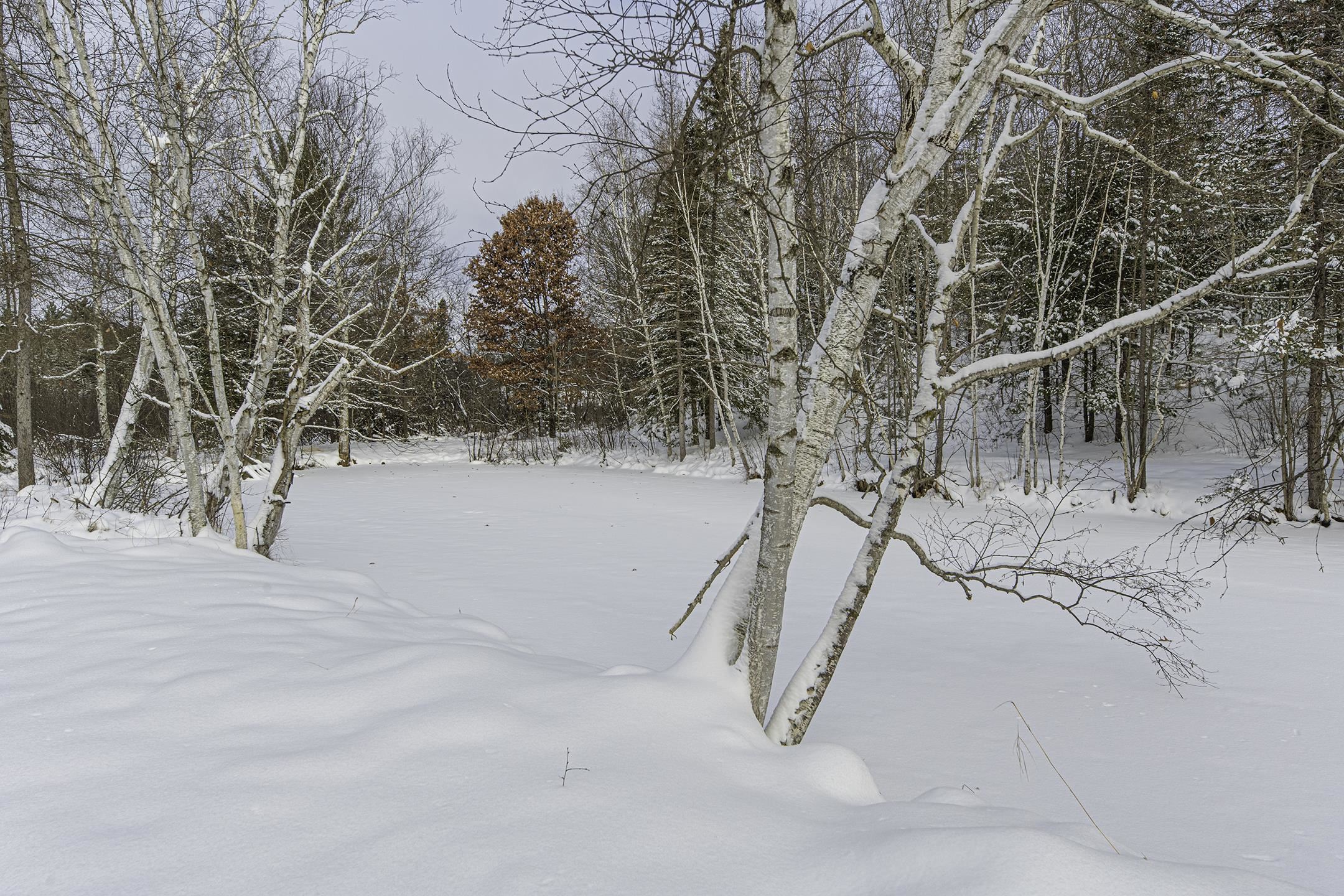 Clearview Court Hazelhurst, WI 54531 - Photo 35 of 61