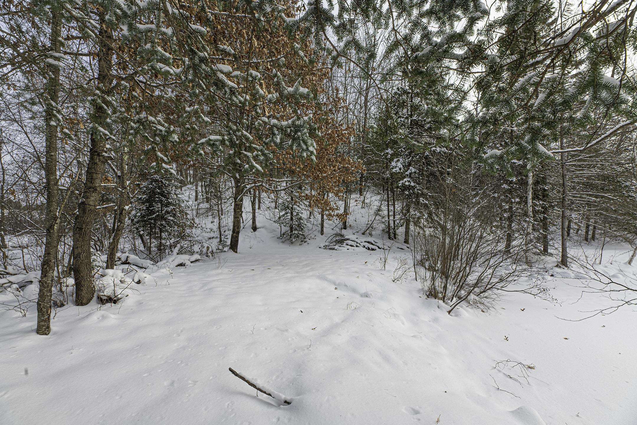 Clearview Court Hazelhurst, WI 54531 - Photo 36 of 61