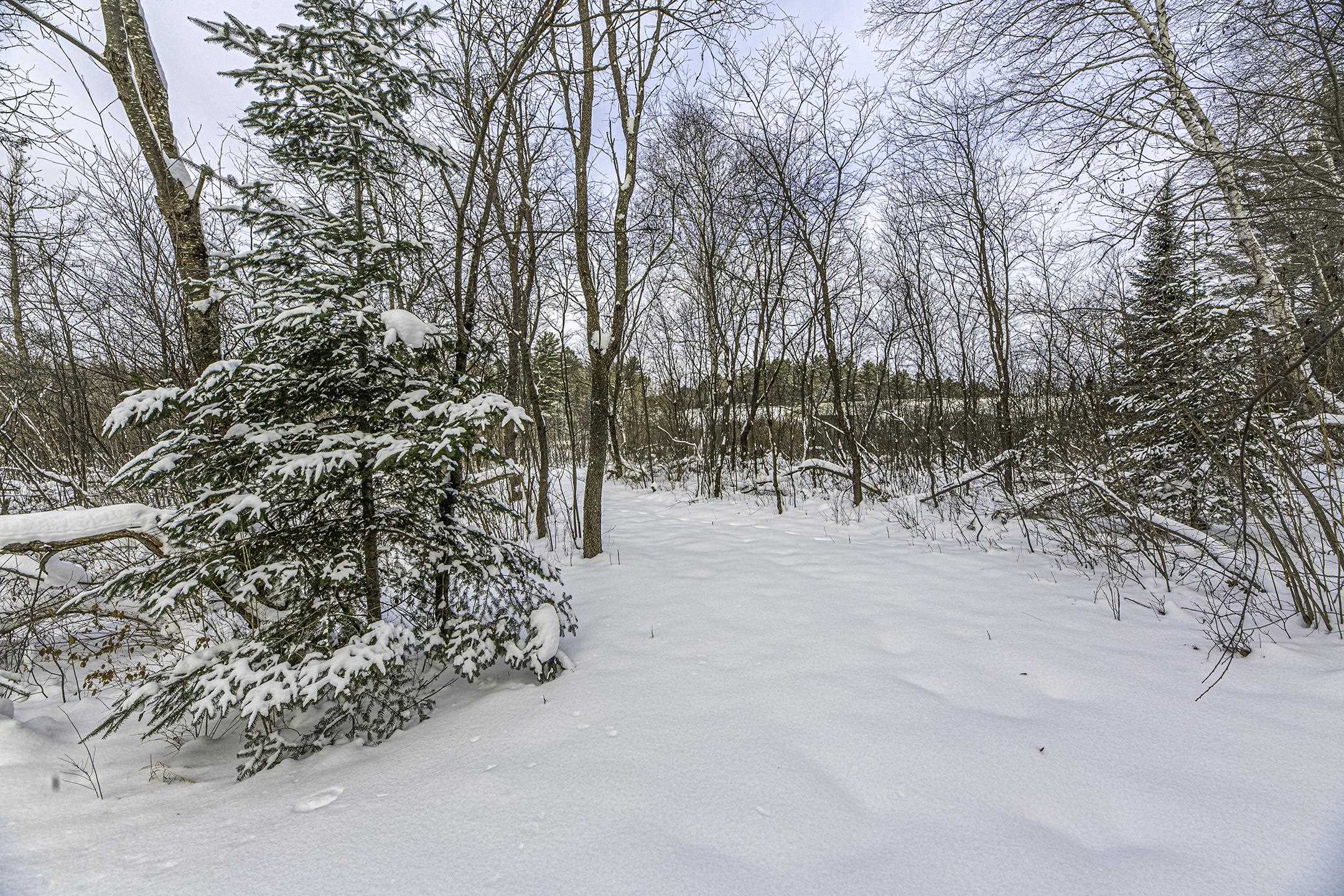 Clearview Court Hazelhurst, WI 54531 - Photo 37 of 61